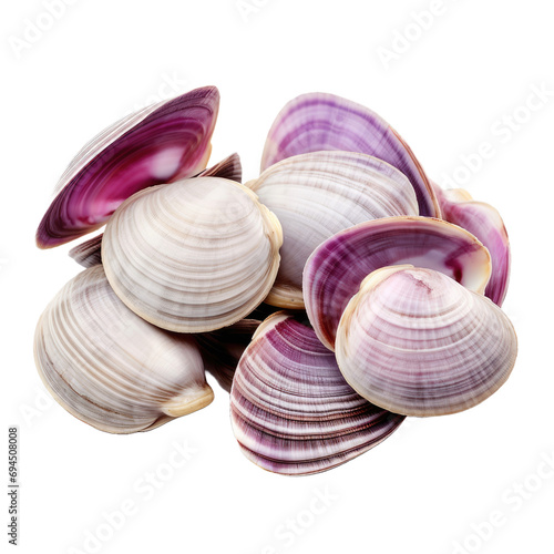Asari clams isolated on white or transparent background