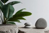 Podium for product presentation. Stone and tropical leaves background with empty space.