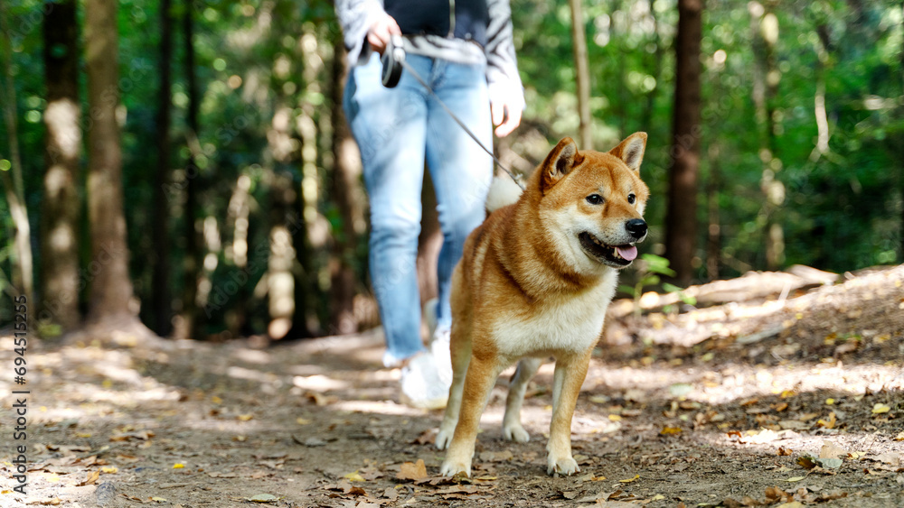 a girl walks in the park with a dog