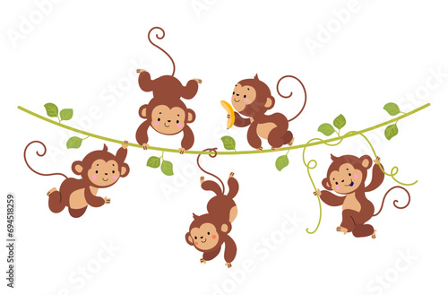 Funny monkey on liana. Cute monkeys hang on vine, tropical exotic wild animals banner. Rainforest childish characters, nowaday vector background