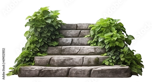 Stone steps surrounded by lush greenery, cut out
