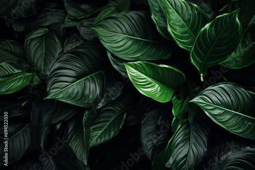                                                                          Abstract green leaves texture  nature background  tropical leaves Generative AI