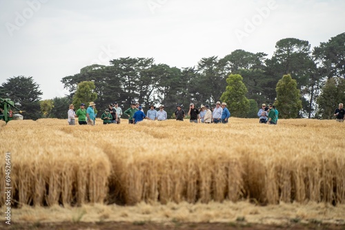 group of agro business farmers in a field learning about wheat and barley crops photo