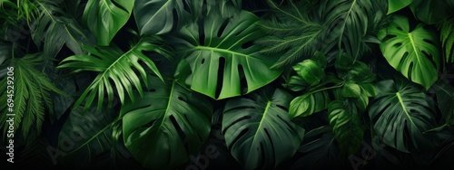 Green leaves background. Green tropical monstera leaves  palm leaves  coconut leaf  fern  palm leaf  banana leaf. Panoramic background. nature concept