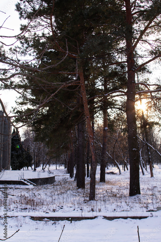 Winter landscape in the rays of the setting sun. City park.