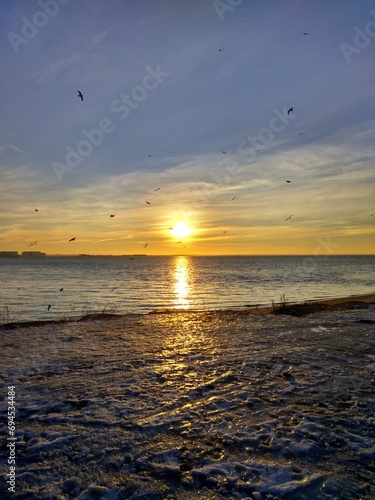 Una playa fría