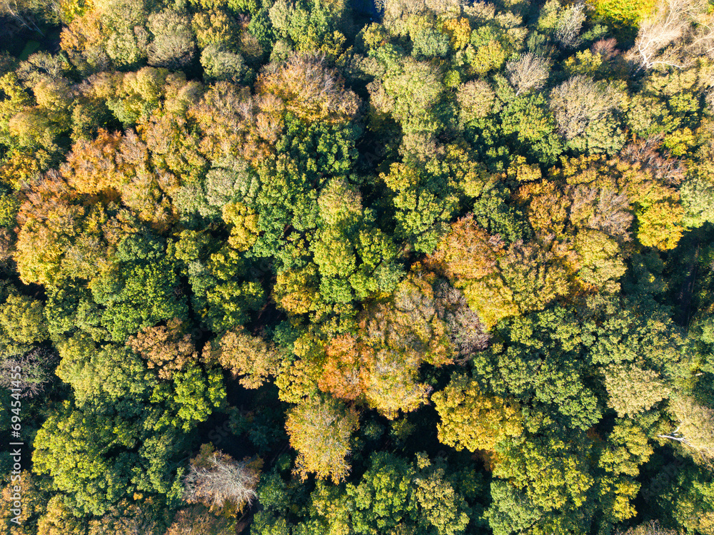 Aerial photo of the Meer en Bos park in The Hague with autumn-coloured trees at a 90 degrees angle from above
