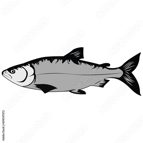  Fish isolated on white background vector realistic illustration
