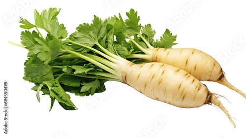  parsnip isolated on transparent background