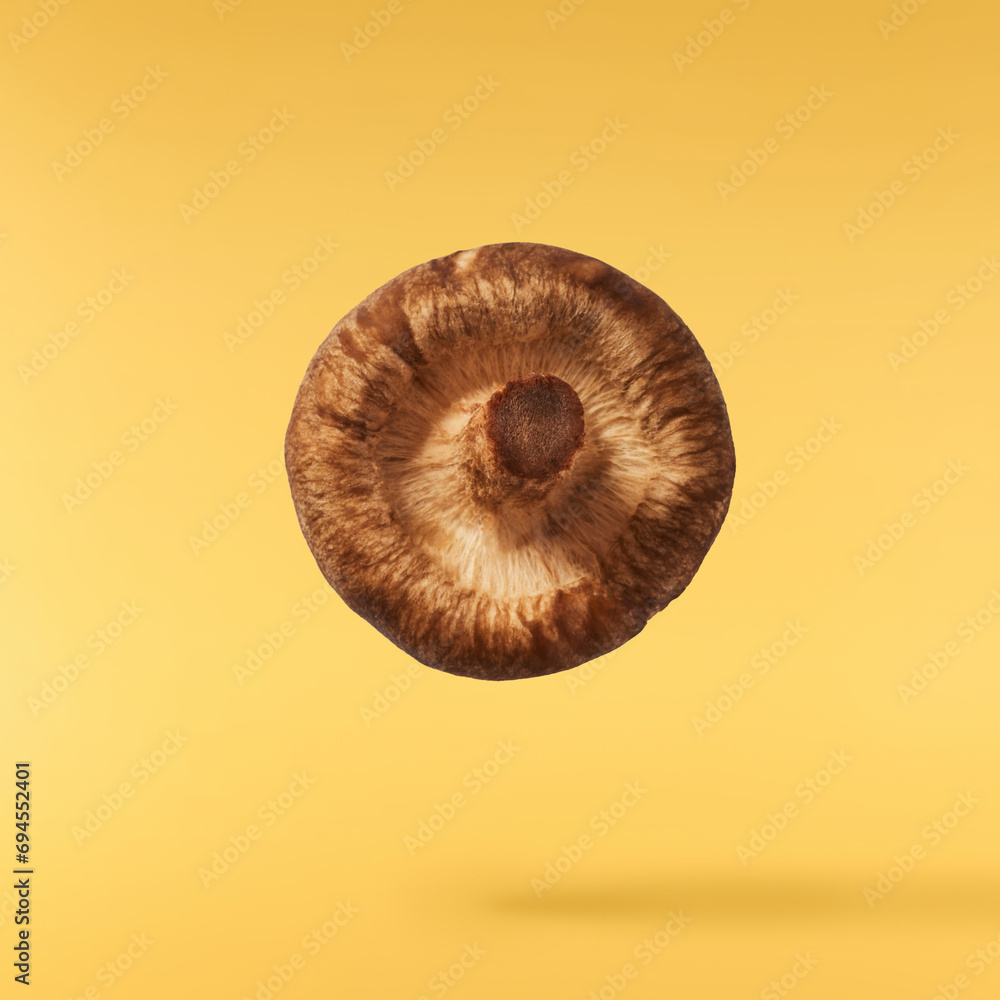 Fresh raw Shiitake Mushrooms falling in the air Fresh raw Shiitake Mushrooms falling in the air