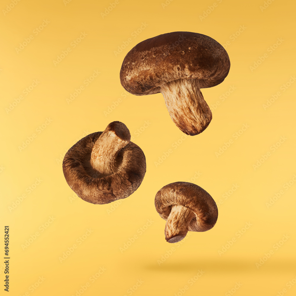 Fresh raw Shiitake Mushrooms falling in the air