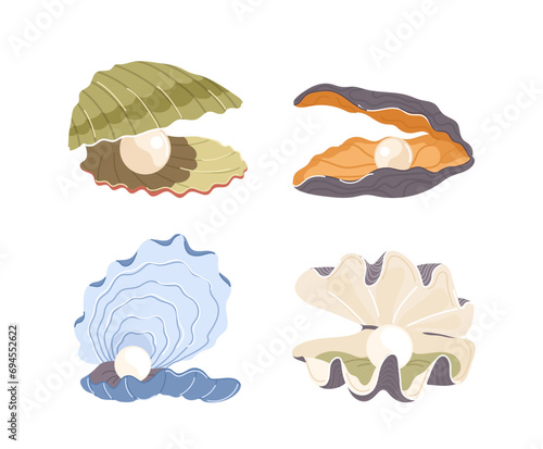 Isolated set of natural open pearl sea shell of different form and shape on white background