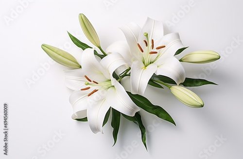 two white lilies sitting on top of a white background © ArtCookStudio