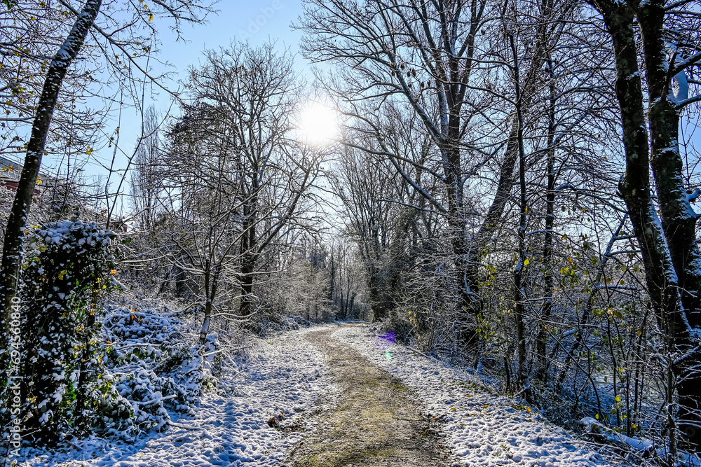 Reinach, Arlesheim, Reinacher Heide, Naturschutzgebiet, Auwald, Auenlandschaft, Birs, Fluss, Birstal, Baselland, Wanderweg, Renaturierung, Winter, Winterlandschaft, Winterspaziergang, Schnee, Schweiz Reinach, Arlesheim, Reinacher Heide, Naturschutzgebiet, Auwald, Auenlandschaft, Birs, Fluss, Birstal, Baselland, Wanderweg, Renaturierung, Winter, Winterlandschaft, Winterspaziergang, Schnee, Schweiz
