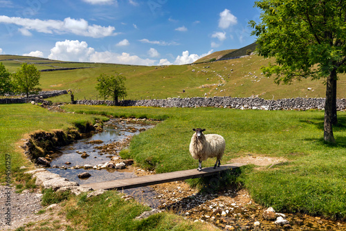 Sheep crossing a bridge over Gordale Beck in the picturesque Yorkshire Dales National Park photo