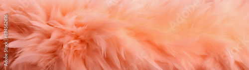 illustration of a peach colored feather background in banner size © Claudia Nass
