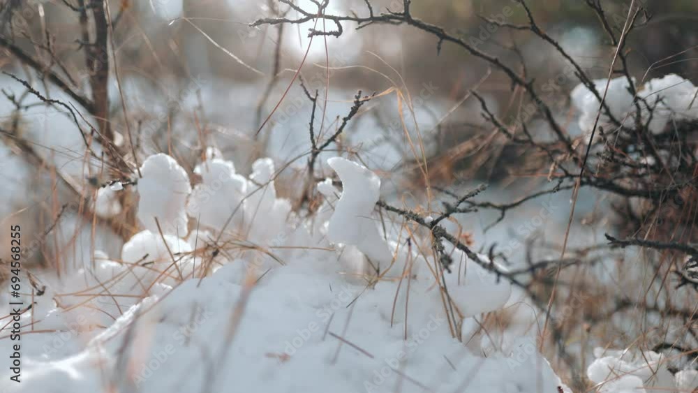 Delicate snowflakes adorn the branches, turning the forest into a winter masterpiece Delicate snowflakes adorn the branches, turning the forest into a winter masterpiece