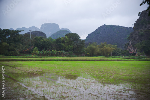 Paddy fields in the mountains