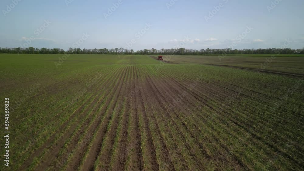 Blue Tractor planting potato on the field in Ukraine Blue Tractor planting potato on the field in Ukraine