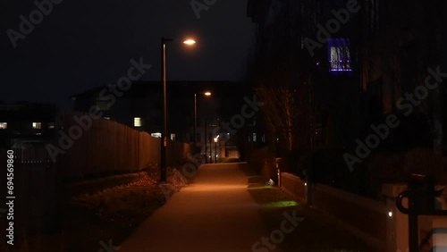 Tranquil Night Scene on a Residential Pathway with Streetlights