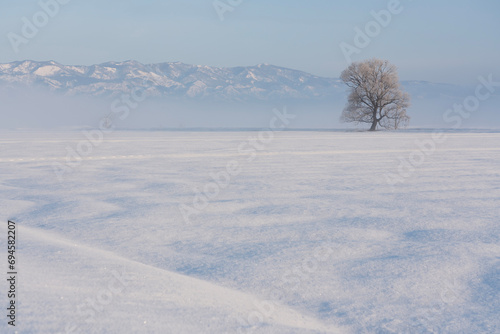 雪原の風景