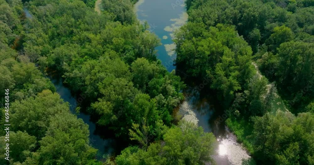 Beautiful landscape with little river in forest in sunny summer day, view from air, 4K, Prores Beautiful landscape with little river in forest in sunny summer day, view from air, 4K, Prores