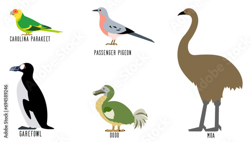 絶滅した鳥5種のベクターイラスト