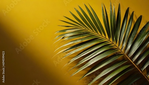 Tropical palm leaf isolated on dark yellow background  clipping path