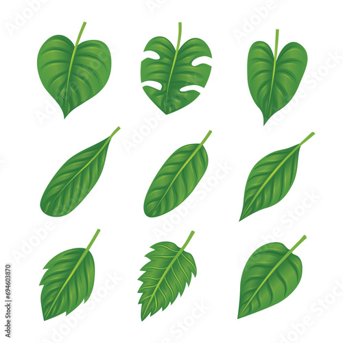 Various shapes and forms of green leaves set collection, ecology leaves,  Leaves icon on isolated white background, for natural, eco, vegan, bio labels