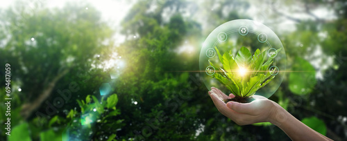 Hands protecting globe of green leaf against nature, Organization sustainable development environmental and business responsible environmental, Energy sources for renewable. Ecology concept. photo