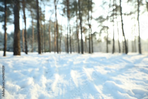 Beautiful snowy forest on sunny morning in winter, blurred view
