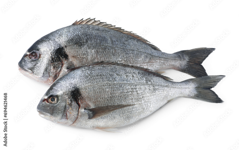 Fresh raw dorado fish isolated on white Fresh raw dorado fish isolated on white