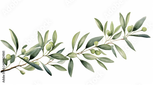 Wallpaper Mural Watercolor banner of olive branches and leaves Torontodigital.ca