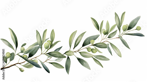 Watercolor banner of olive branches and leaves