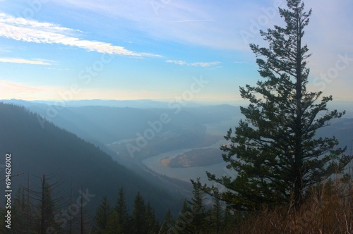 Aerial view of Columbia river from behind trees, on an overcast day. 