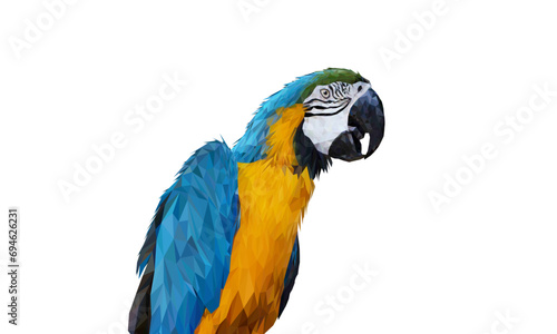 Polygon Graphics Blue and yellow macaw parrot isolated on a white background