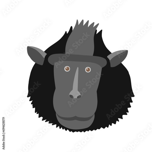 ブラックマカク（クロザル）の顔のイラスト