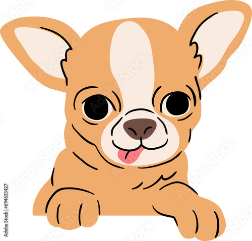 Cute Chihuahua