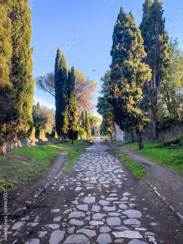 Ancient roman road appian way in summer photo