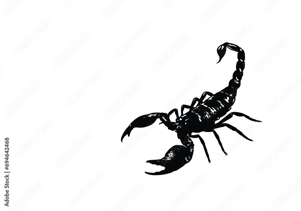 silhouette scorpion. vector illustration, poisons insects. - obrazy, fototapety, plakaty 