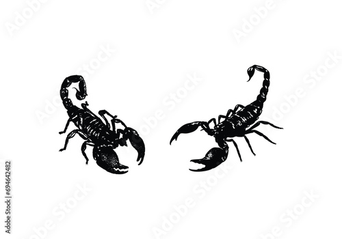 black and white scorpion vector image, suitable for icons, logos, t-shirts, photo