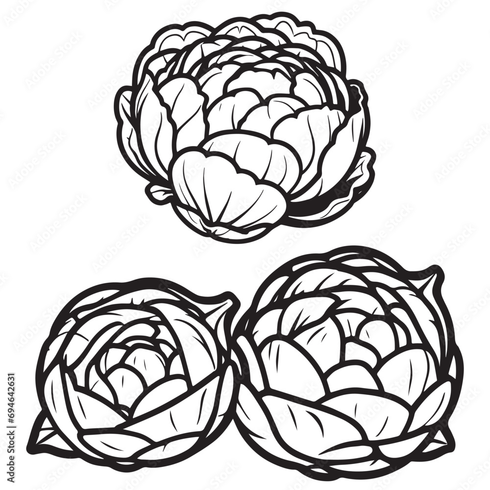 Obraz premium Brussels sprouts silhouettes and icons. Black flat color simple elegant white background Brussels sprouts vegetable vector and illustration.