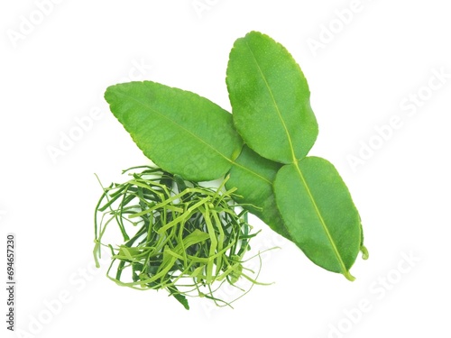 Fresh organic kaffir lime leaves, no chemicals, cut into pieces as a cooking ingredient. Green leaves, placed on a white background.