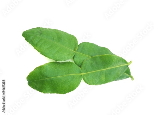 Fresh organic kaffir lime leaves without chemicals, green leaves, placed on a white background.