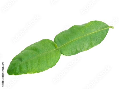 Fresh organic kaffir lime leaves without chemicals, green leaves, placed on a white background.