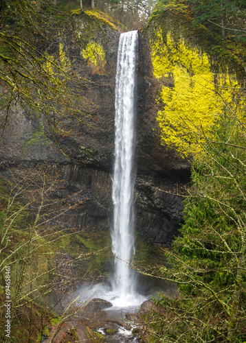 Latourell Falls along the Columbia River Gorge  Oregon