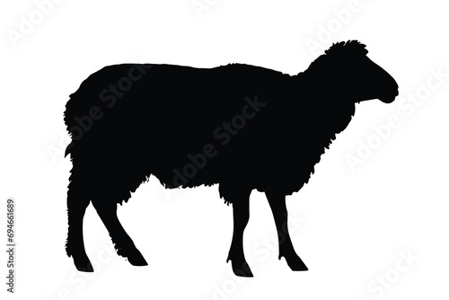 Sheep Silhouette. Sheep Vector Illustration. photo