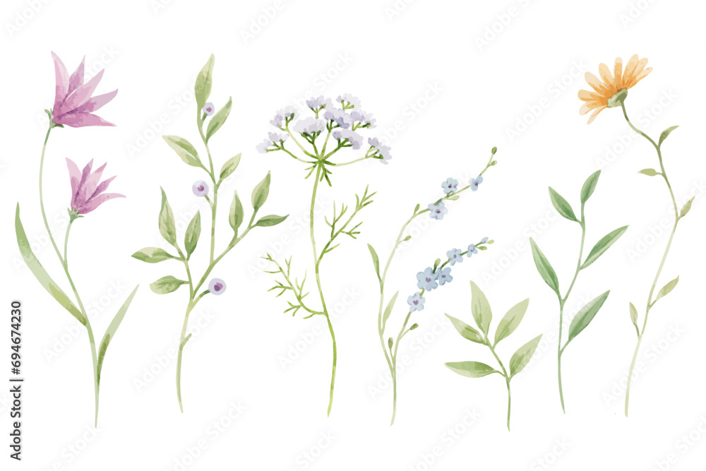 Beautiful vector set with hand drawn watercolor summer flowers. Stock clipart illustration.