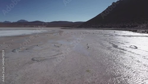 Salar de Chalviri, part of Bolivia's high-altitude plateau, provides an ethereal backdrop to flamingo birds flight ballet. Salt flats, renowned for their reflective beauty, create a seamless canvas. photo