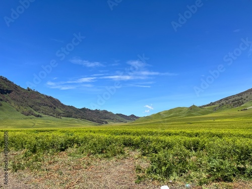 Beautiful landscape view of Bromo Tengger Semeru National Park in East Java, Indonesia with mountain and green field under the blue sky © FaizZakiy